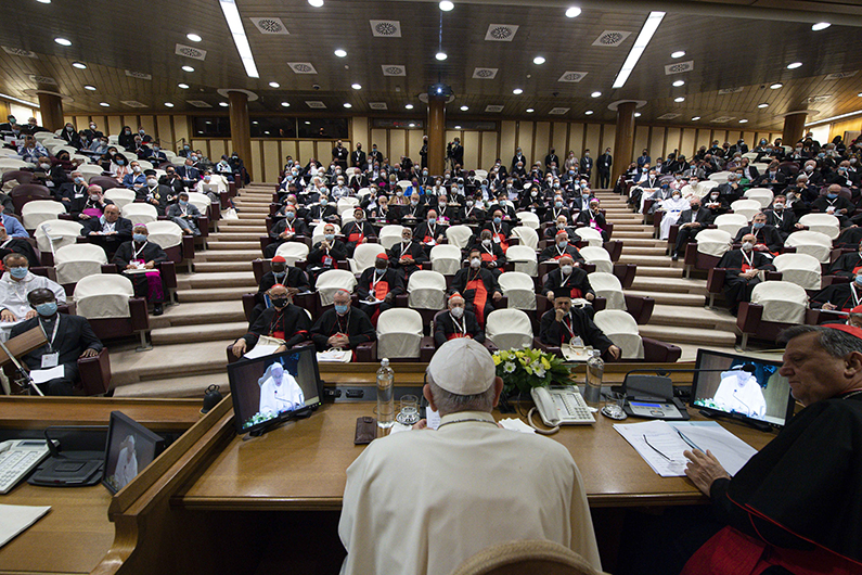 Pan- Synod. The Working Document for the Synod of Bishops
